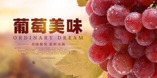 美味葡萄展板