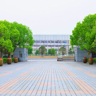 校园入口的绿树与广场