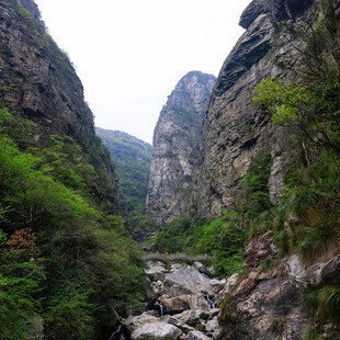 山间峡谷绿意盎然之景