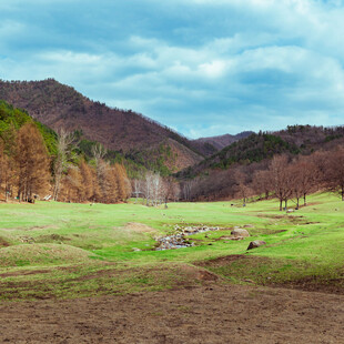 秋日山间开阔草地美景