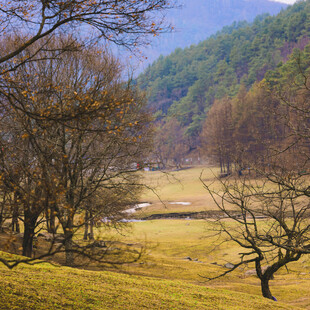秋日山林旷野美景
