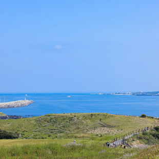 海边绿野风光美景