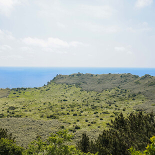 绿意盎然的山野与远方海景