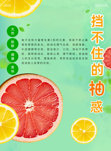 柚子海报