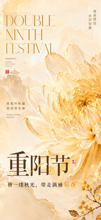 重阳节花卉主题画面