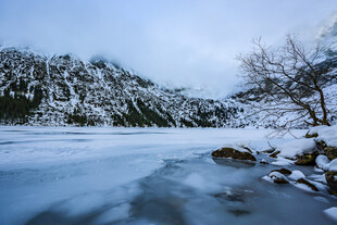 冬日冰封河岸雪景