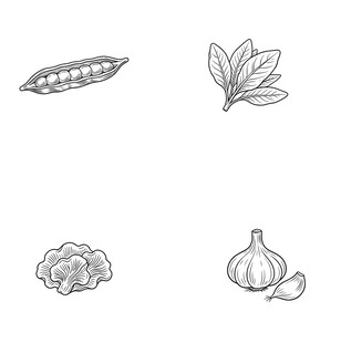 手绘蔬菜图标集合