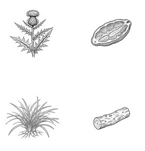 植物简笔画集合