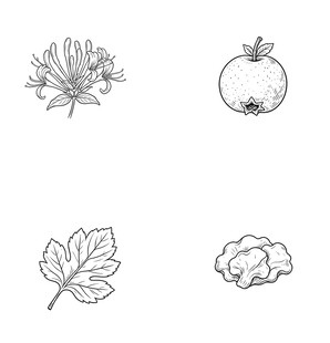 植物手绘图案集合