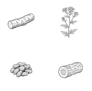 植物与木材相关素材集合