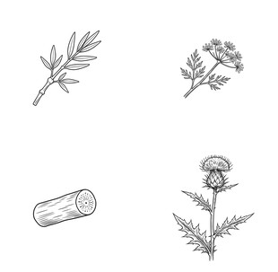 药用植物简笔画集合