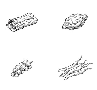 四种中药材简笔画展示
