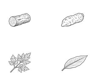植物部件简笔画
