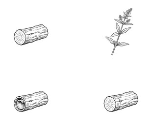 原木与植物手绘图案素材