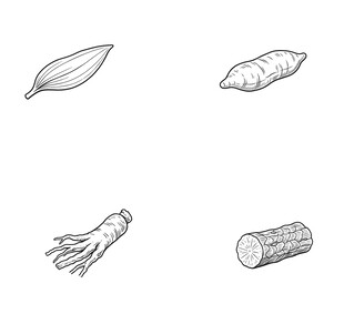 手绘根茎类蔬菜简笔画