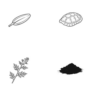 植物相关元素图标集