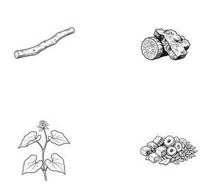 四种植物形态简笔画