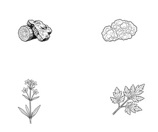 植物及果实图标集合
