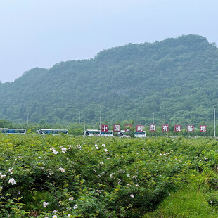 田园山间美景