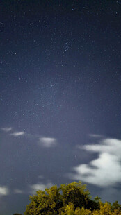 夜空下的树木与云朵