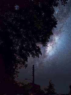 夜空下的树梢与璀璨星河