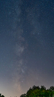 夜空下的树林与璀璨星河