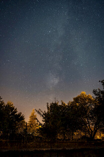 夜幕下的树林与璀璨星空