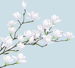 数码印花