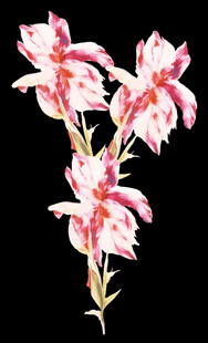数码印花