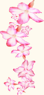 数码印花