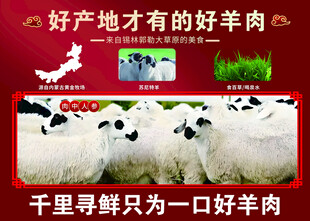 苏尼特羊羊肉
