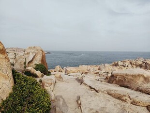 海边嶙峋岩石与绿植景观