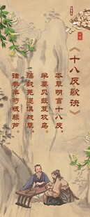 中医展板 中医文化 中医海报