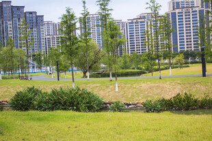城市绿地旁的现代高层住宅