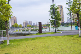 城市河畔公园绿意景致