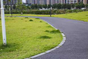 城市中蜿蜒的绿色步道