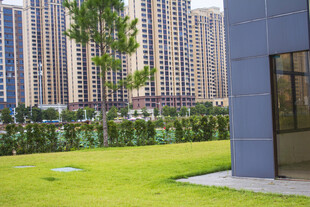 城市中建筑旁的绿地景观