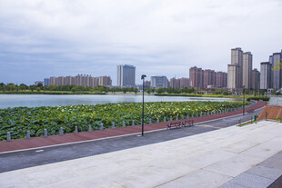 城市湖畔景观