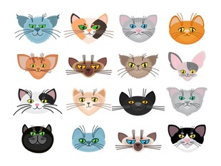 多彩猫咪头像插画集合