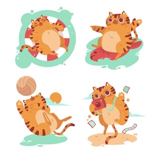 可爱猫咪的趣味运动瞬间