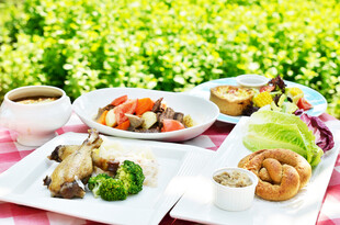 户外野餐美食盛宴