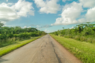 乡间公路绿意盎然的风景