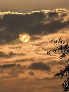 夕阳映云景