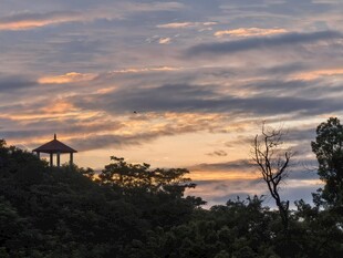 黄昏山林中的静谧凉亭