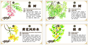 物业银杏树牌
