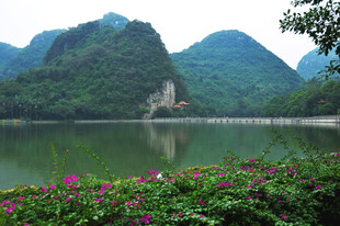 山水湖畔繁花美景