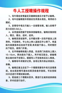 人工智能编程课程介绍