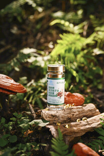 森林中的养生保健品展示