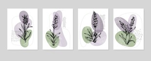 植物水彩插画四幅组图