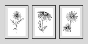 三幅简约花卉装饰画